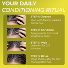 Folliculitis  Conditioner