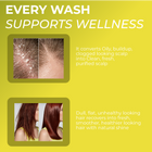 Folliculitis Shampoo Refill