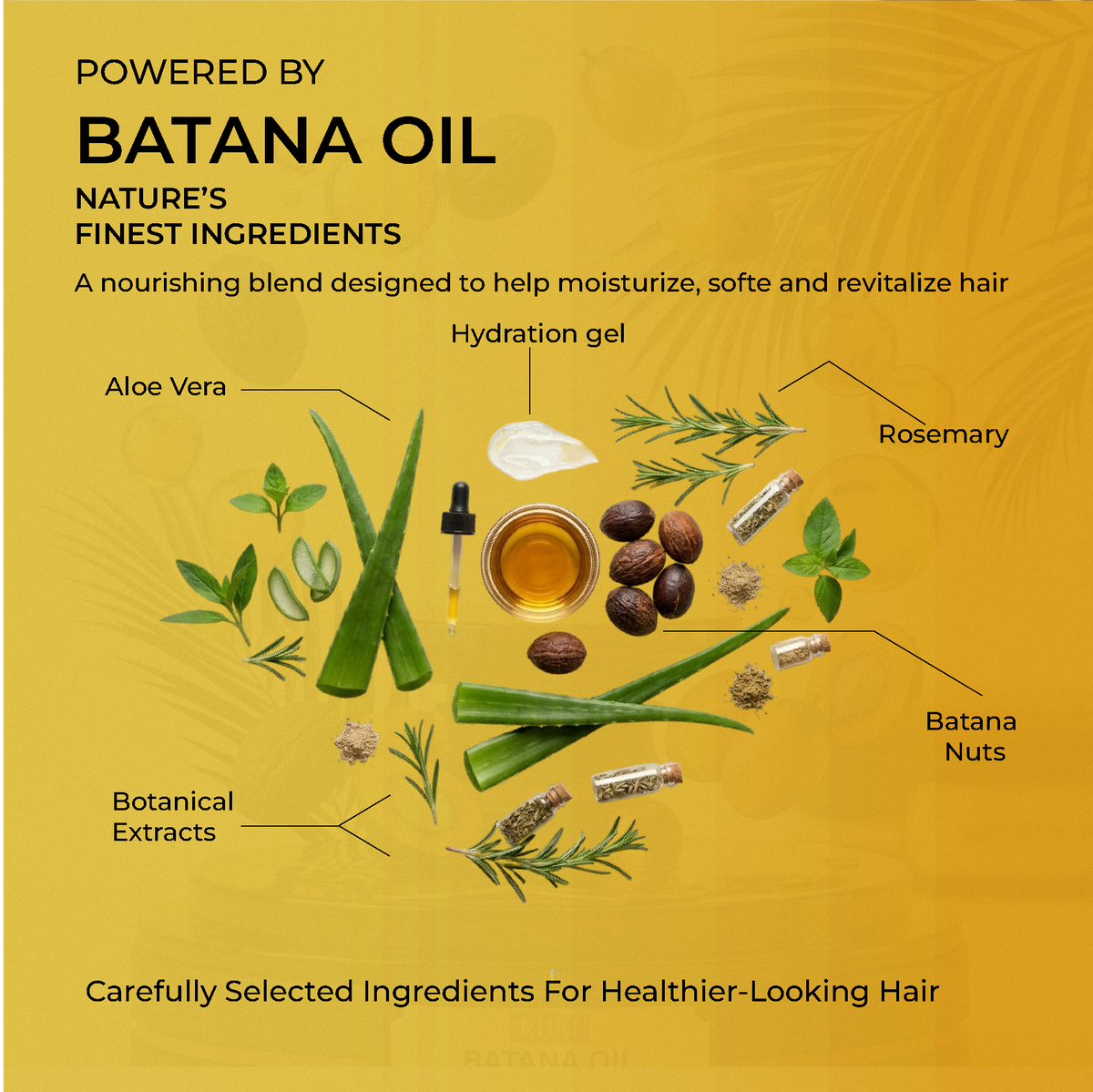 Batana Oil SC Set